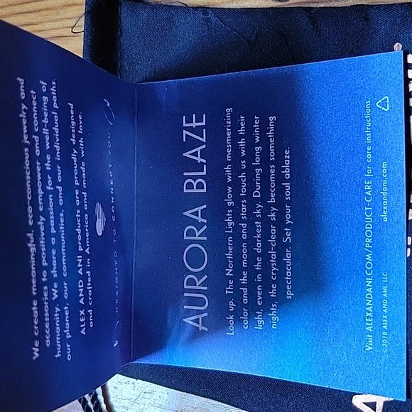 Alex and Ani Snowglobe Bracelet - Picture 6 of 7